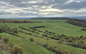 Židlochovice, Vranovice - Česká rep.